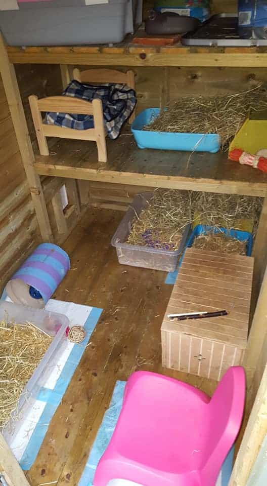 Inside one of our foster sheds (the sheltered compartment)