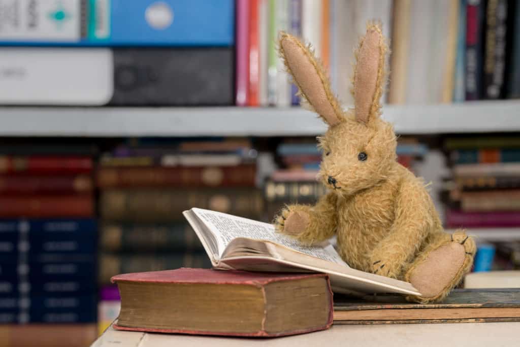Vintage toy bunny rabbit reading a book in front of a blurred background of bookshelves. Children's studying, learning, reading concept.