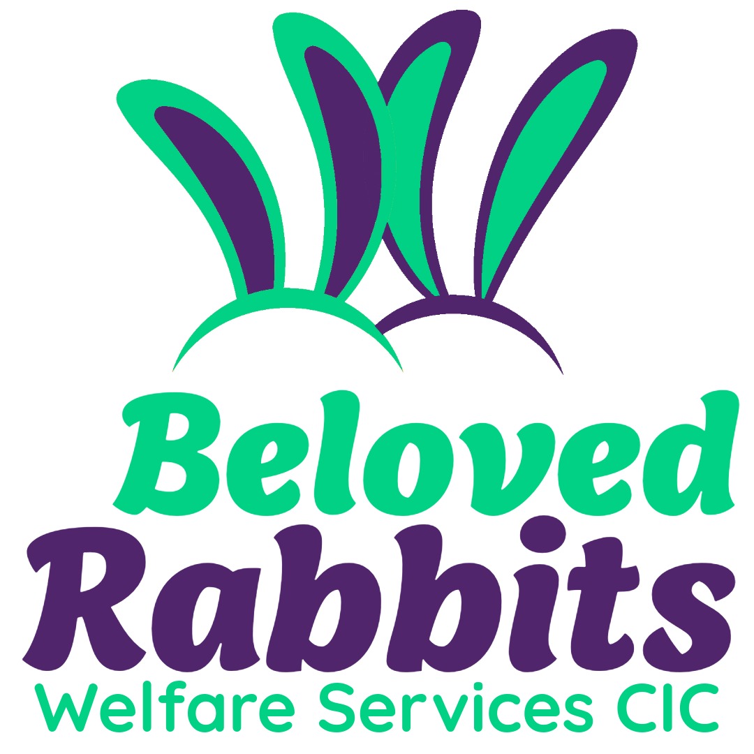 Beloved Rabbits logo