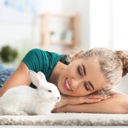 Female Neuter - up to £240